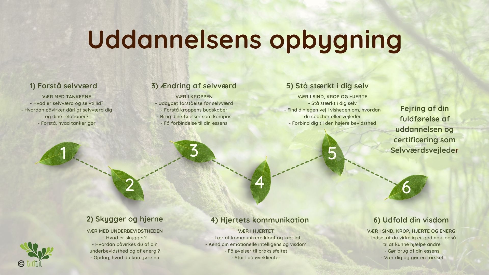 Opbygning af uddannelsen til selvværds vejleder