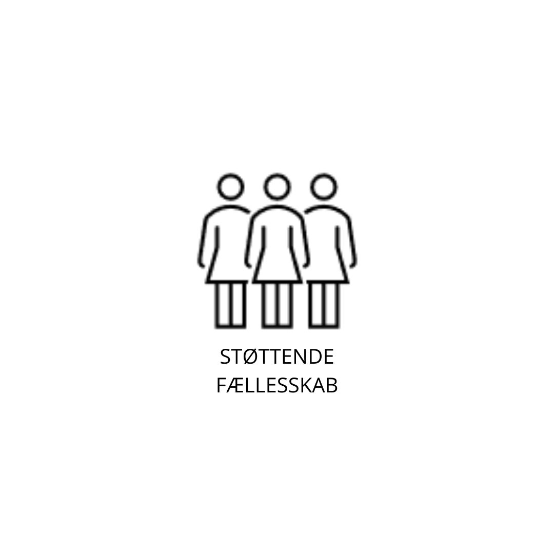 Struktureret undervisning (13) støttende fællesskab