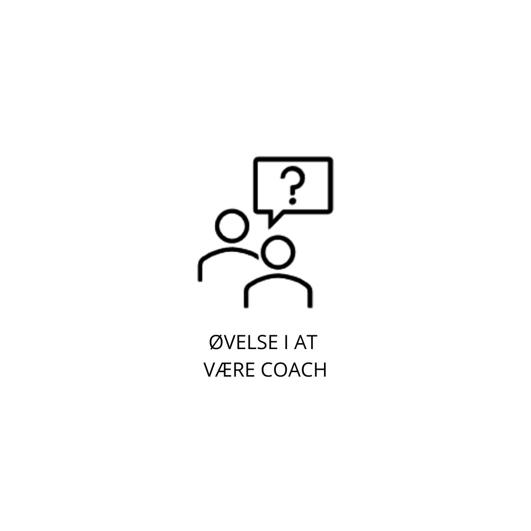 Struktureret undervisning (24)